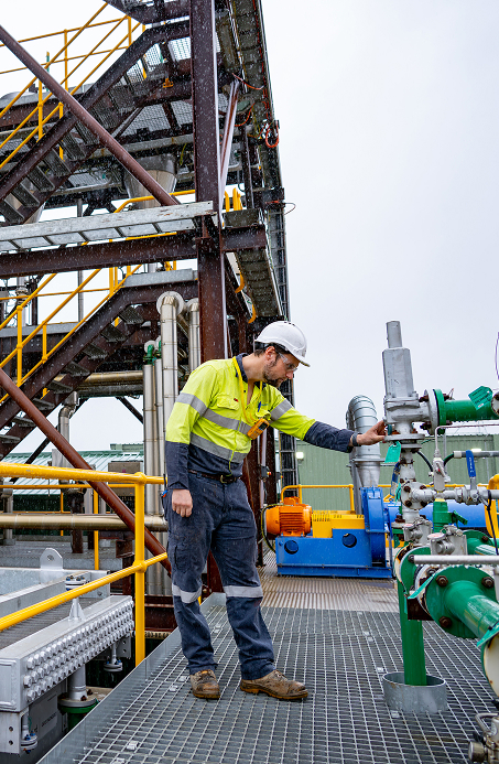 Campervan parked on pristine white sand at Wharton Beach, WA, turquoise ocean and bushland in view