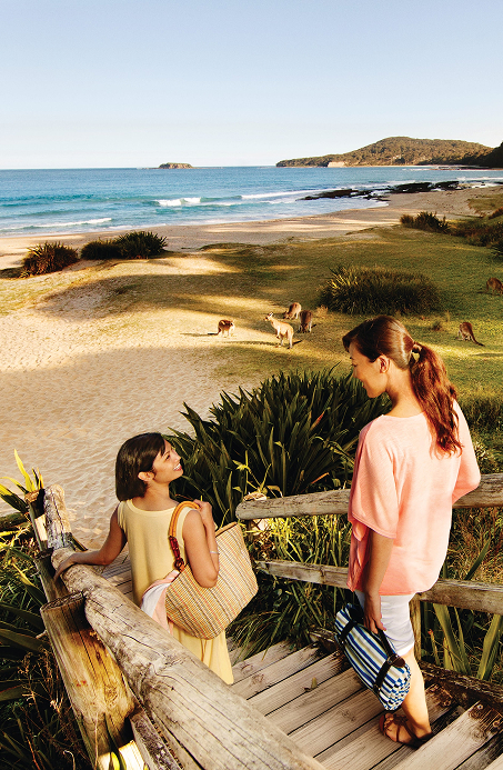 Women heading down stairs to a clean beach with kangaroos on the shore