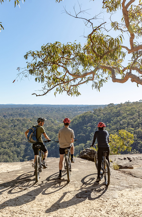 Group of mountain bikers on a rocky cliff overlooking bushland scenery