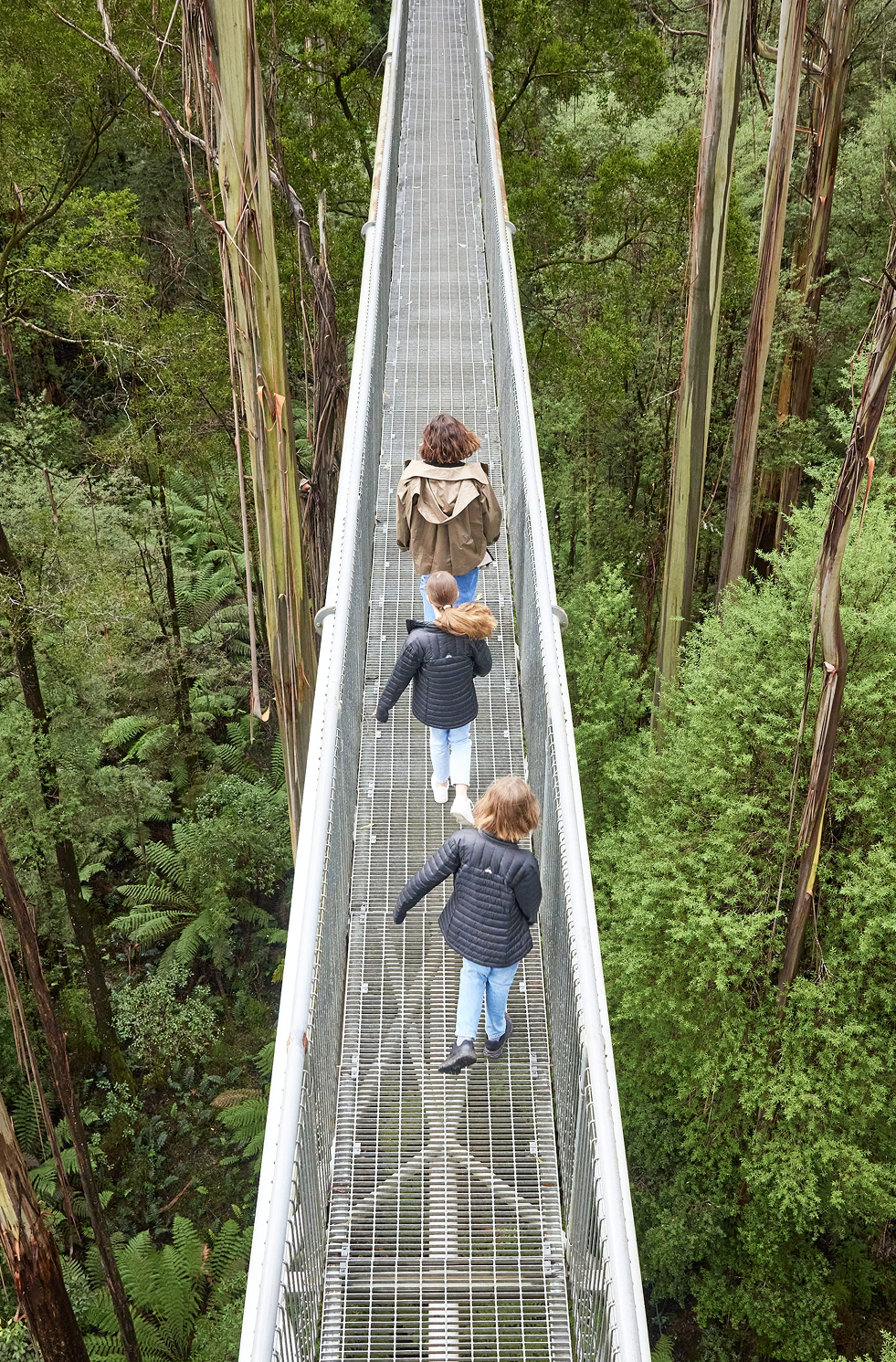 Family strolling on elevated walkway through the Daintree Rainforest canopy