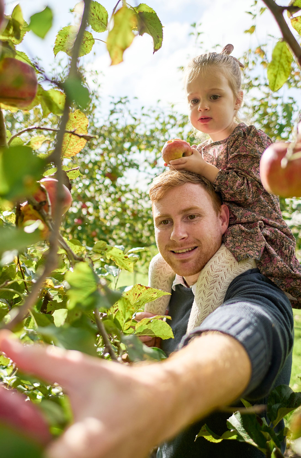 Father and daughter picking apples in the orchard at Darkes Glenbernie, Northern Illawarra