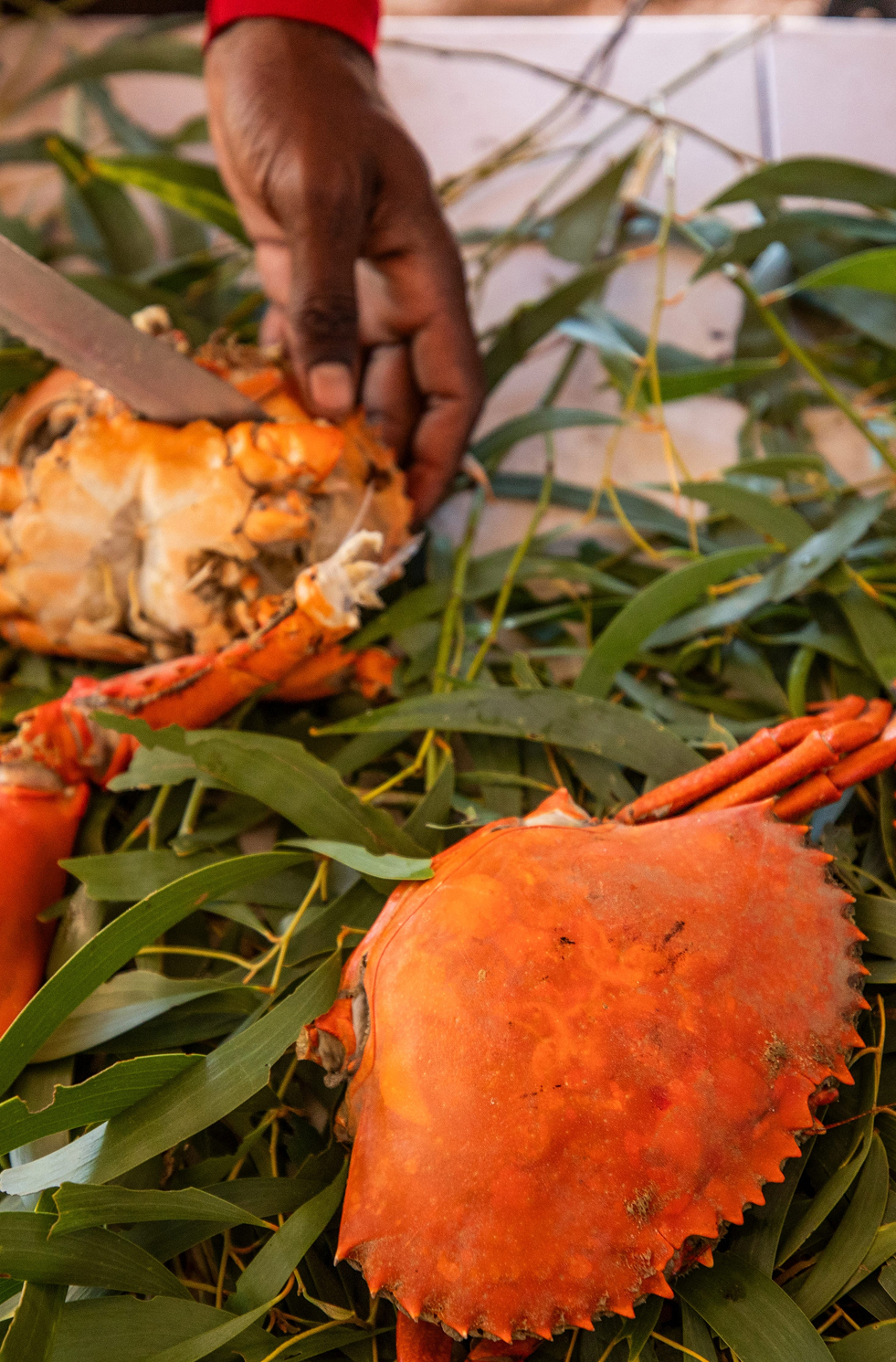 Mud crabs cooking on a traditional BBQ at the Lullumb, Dampier Peninsula