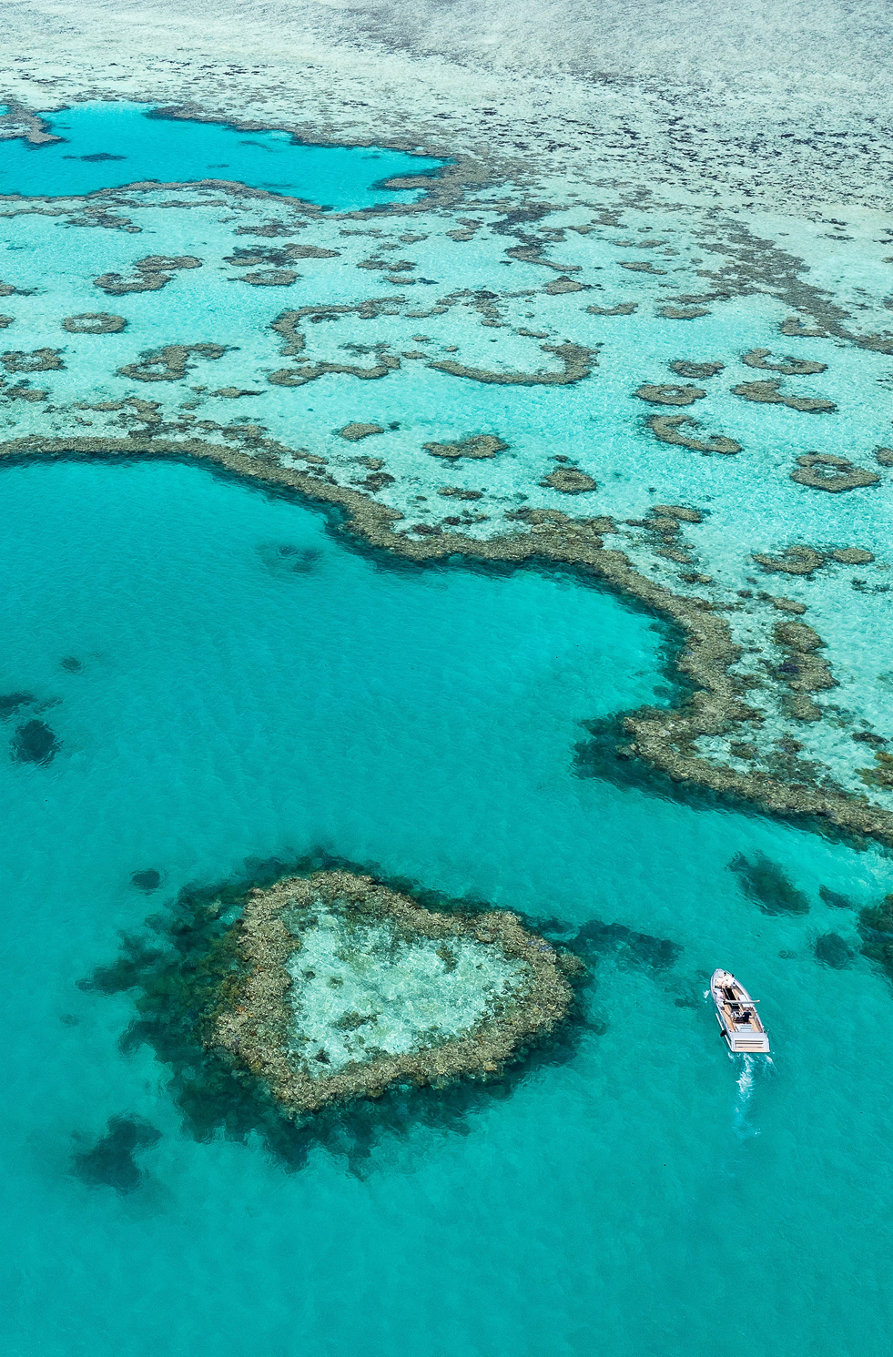 Turquoise waters and coral reefs at Hardy Lagoon, Whitsunday Islands
