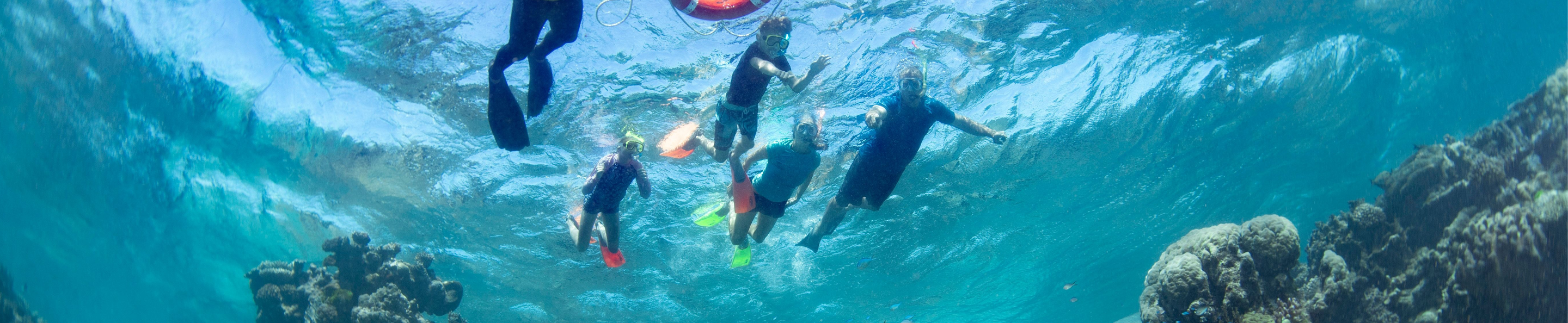 Family snorkeling together above colorful coral at the Great Barrier Reef