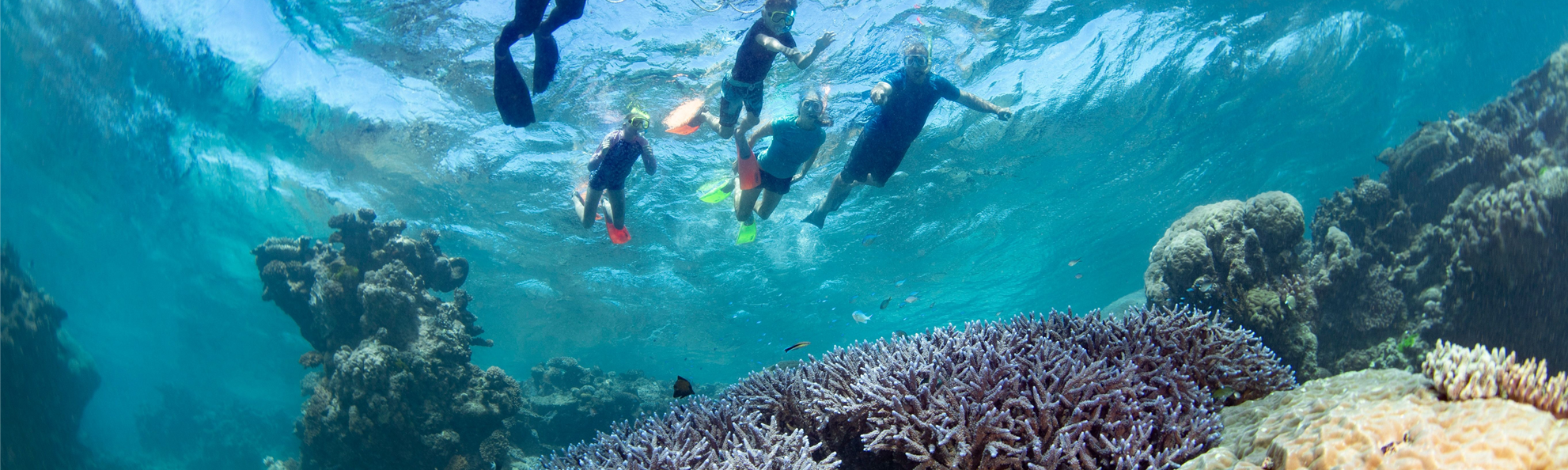 Family snorkeling together above colorful coral at the Great Barrier Reef