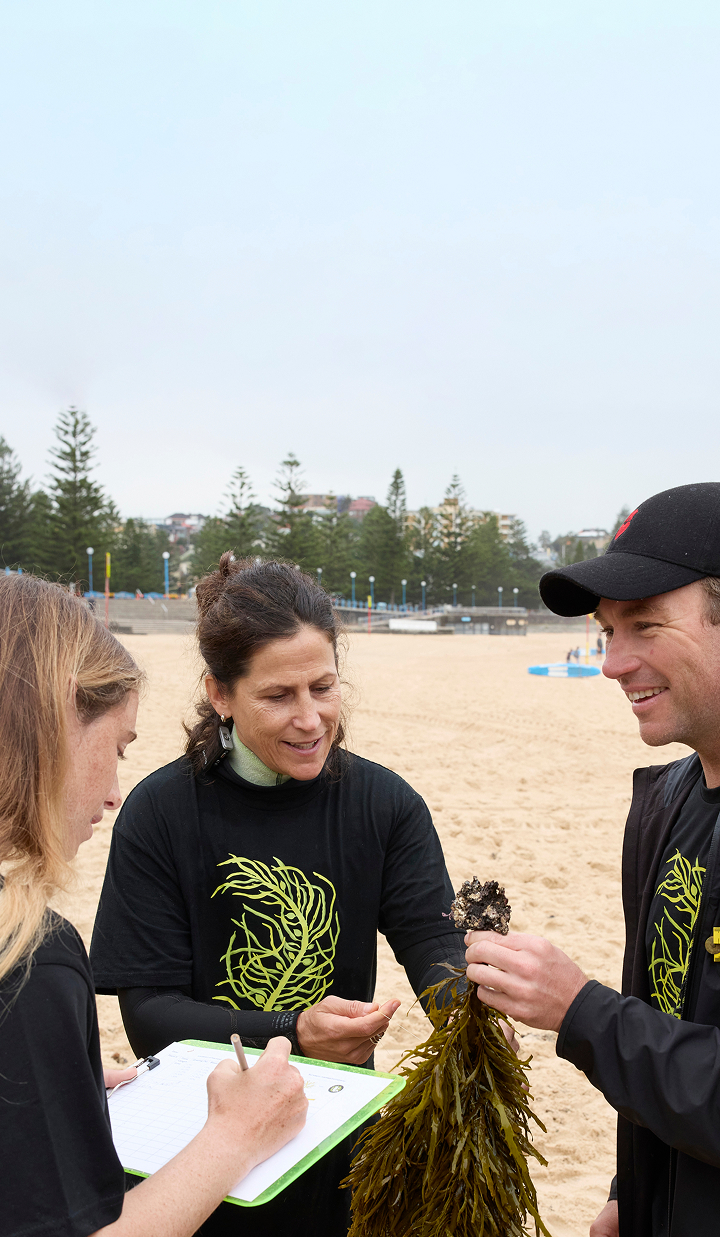 A group holding algae at the beach, taking notes closely.