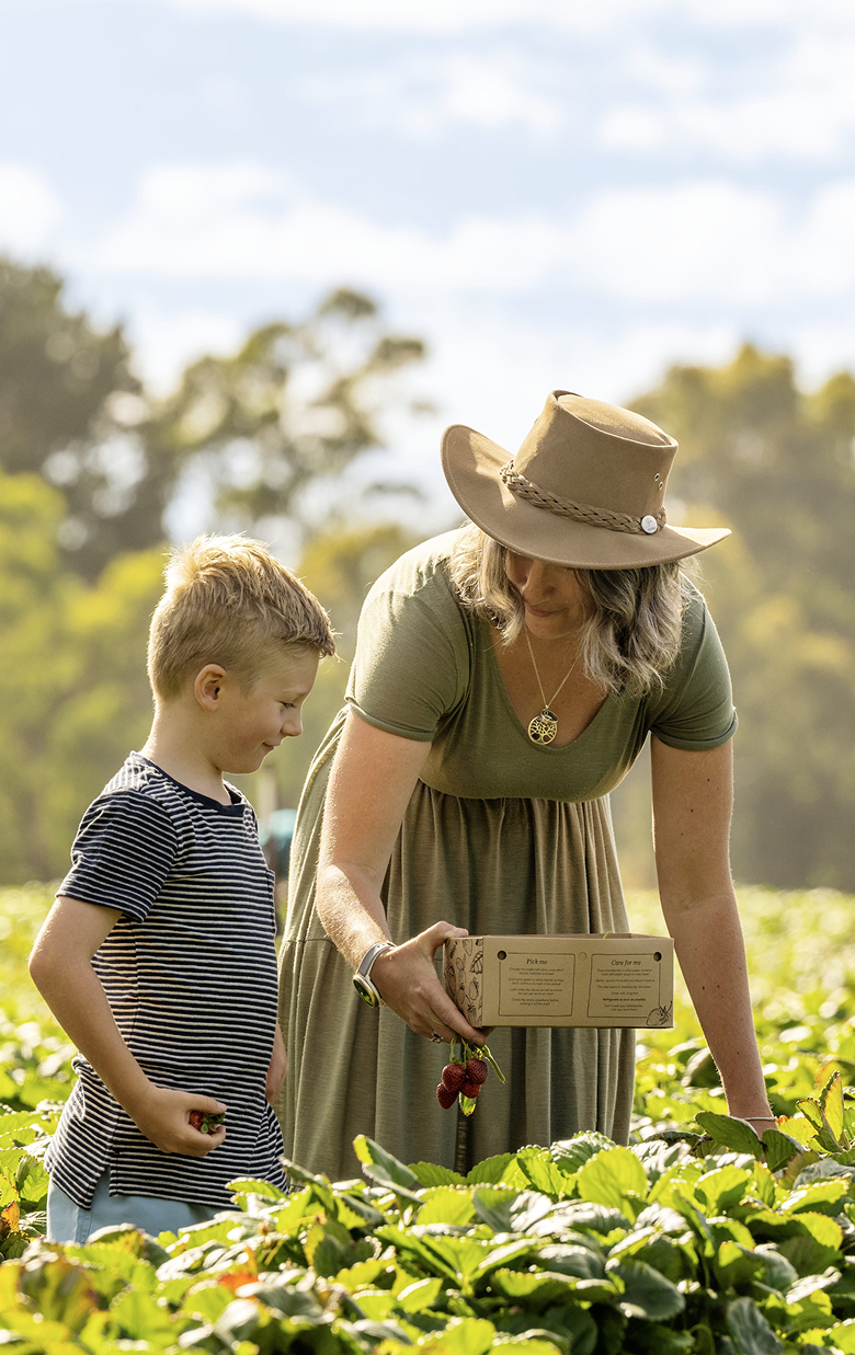 A woman in a sun hat and dress holds a small box while picking strawberries with a young boy smiling beside her in a sunny field