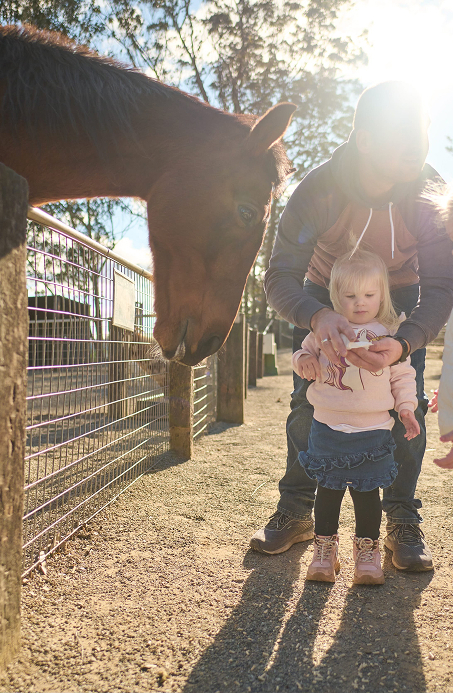 Family feeding horse