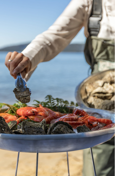 Seafood platter of prawns and oysters with ocean view in the background.