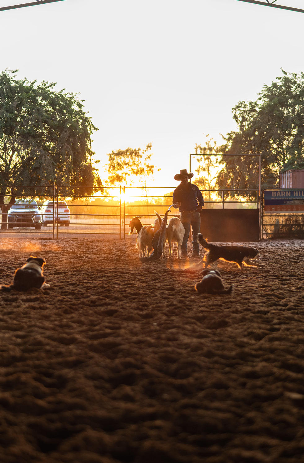 Farmer, Katherine, Northern Territory