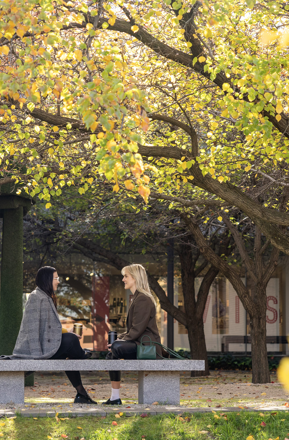 Couple talking on bench in park, Bendigo, Central Victoria