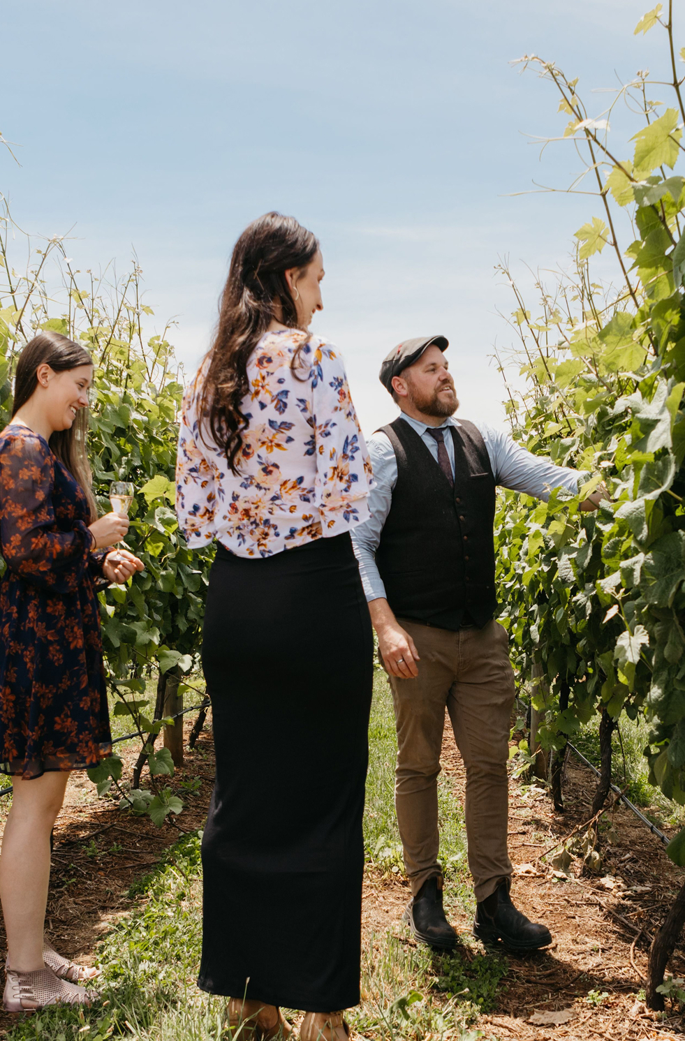 Vine tour, Pipers River, Launceston