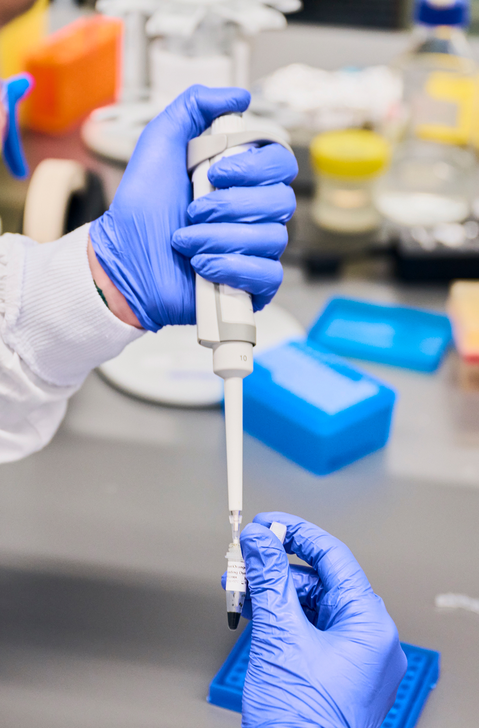 Researcher conducting experiments with lab equipment at MCRI, Murdoch Children_s Research Institute.