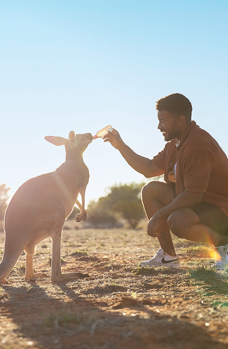 Man feeding kangaroo in Alice Springs, Central Australia