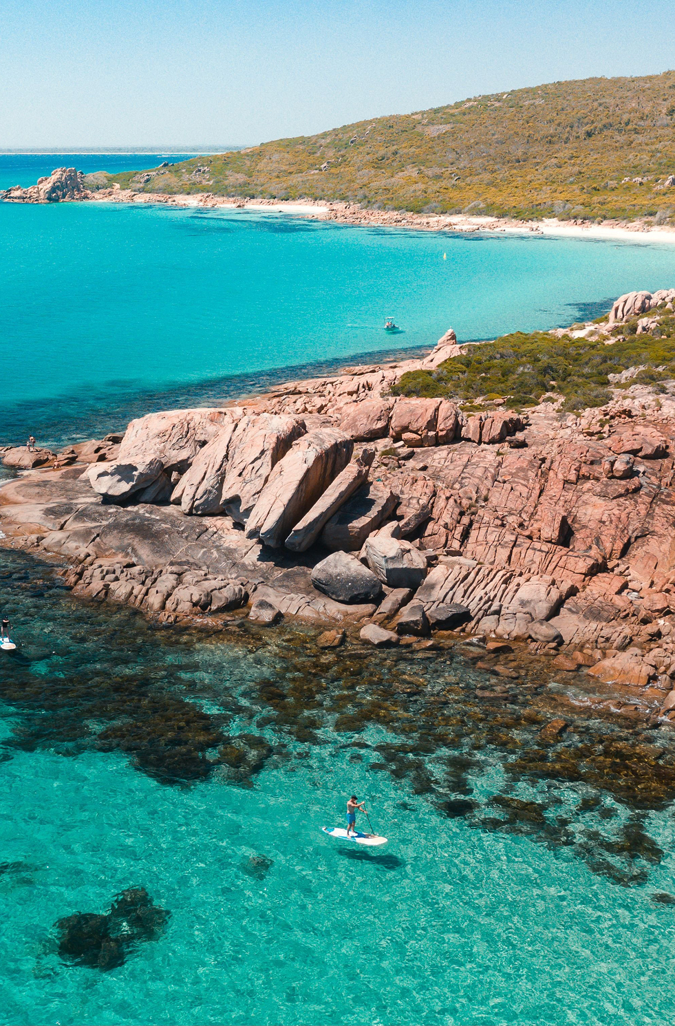 A single paddle boarder in the water at Noosa, Sunshine Coast