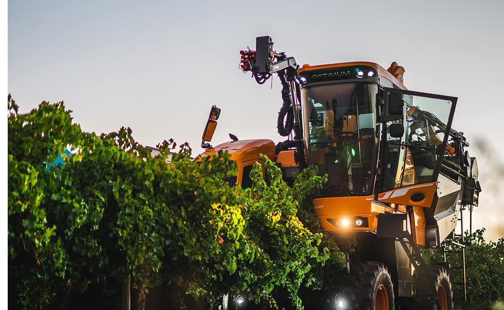 Agri-Food and AgTech