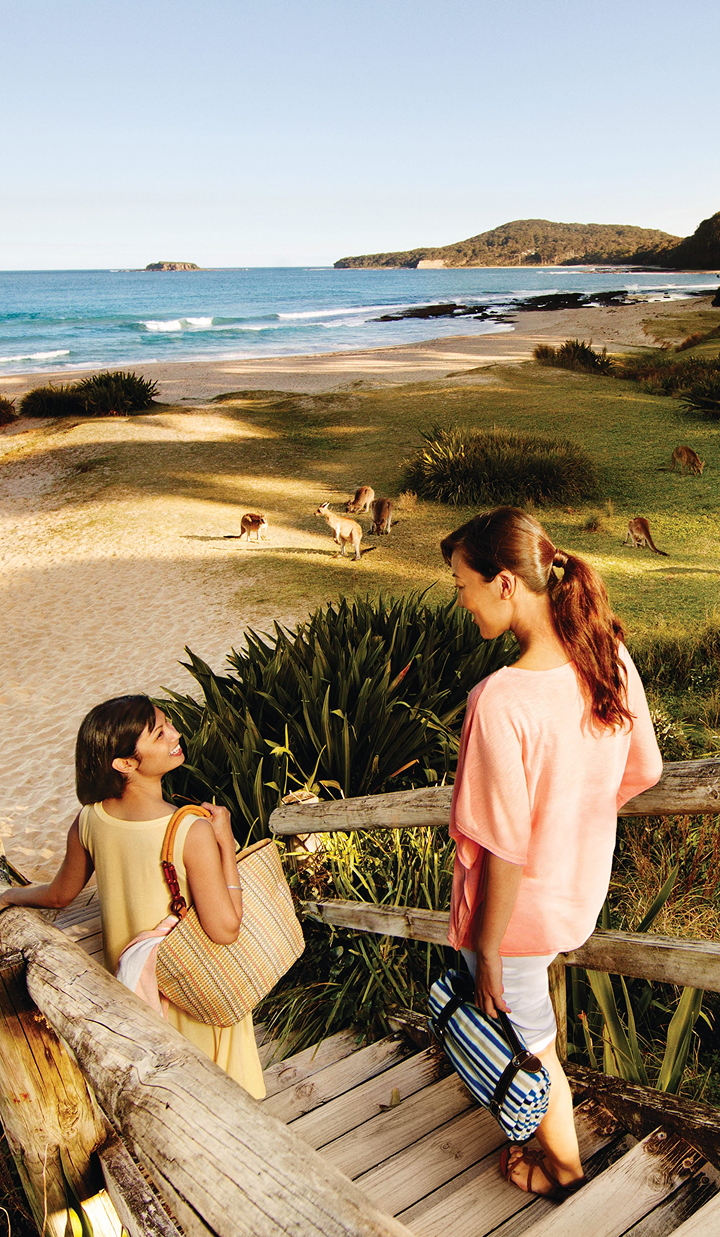 Two women on beach stairs watching kangaroos