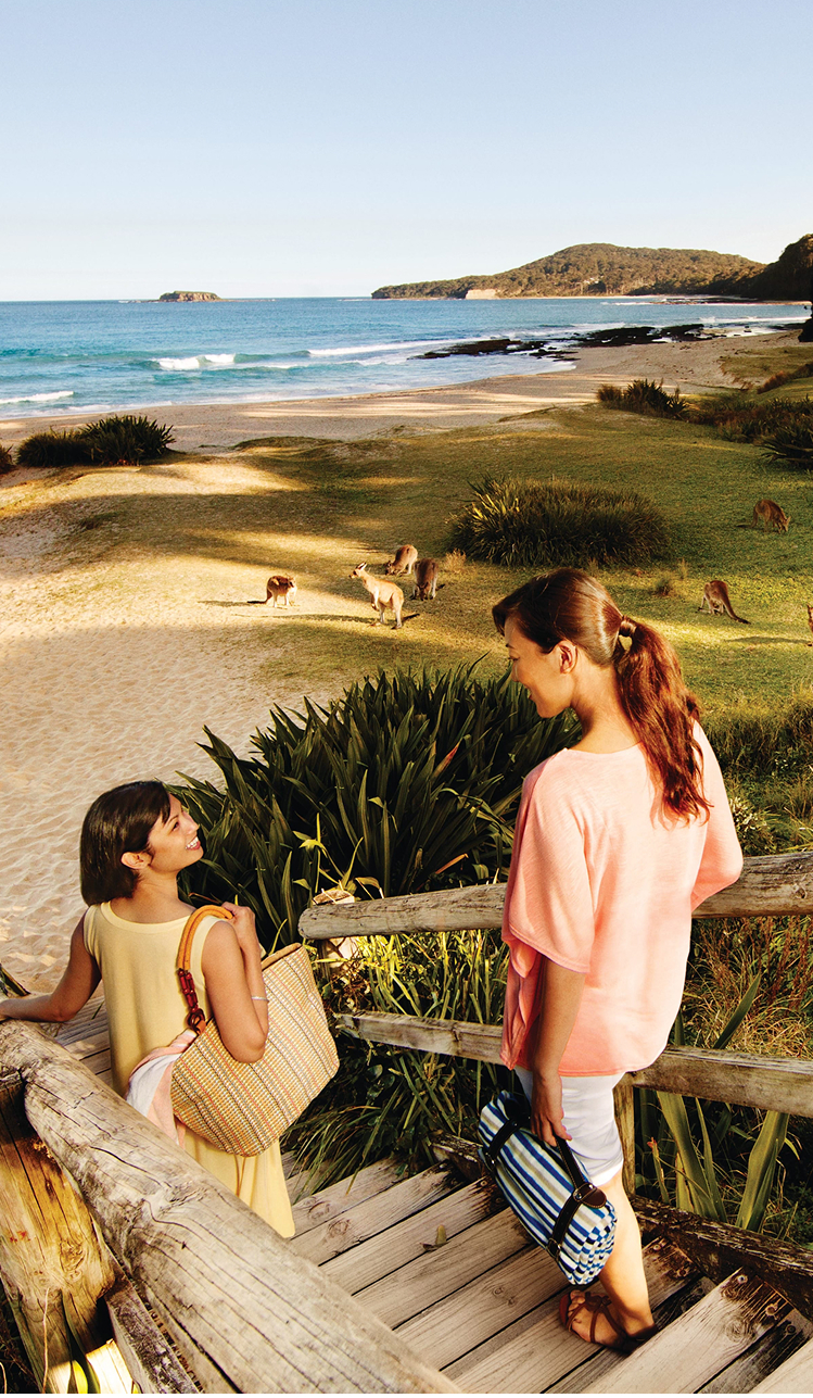 Two women on beach stairs watching kangaroos