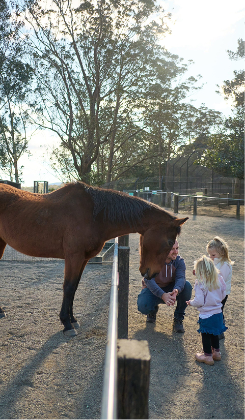 Young children and an adult interacting with a horse at an outdoor farm enclosure