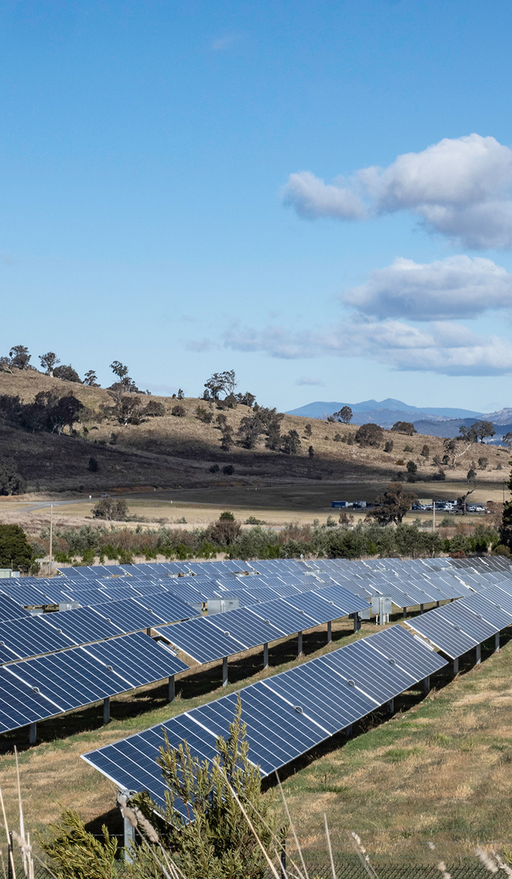 A field of solar panels with hills and trees in the background under a blue sky.