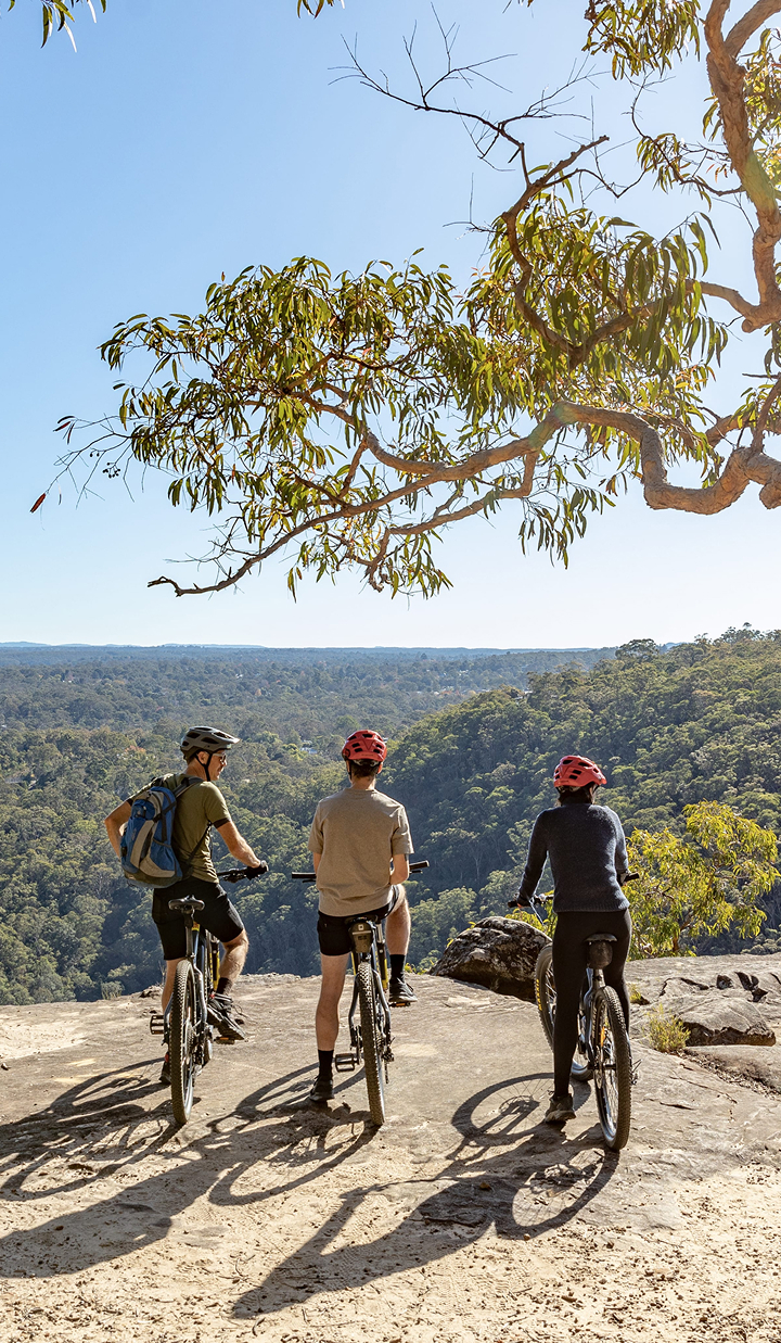 Group of mountain bikers on a rocky cliff overlooking bushland scenery.