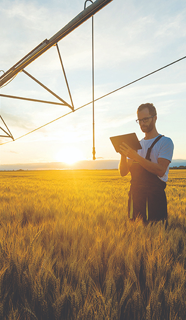 Man on a field of wheat holding a tablet under an irrigation system against the sunrise.
