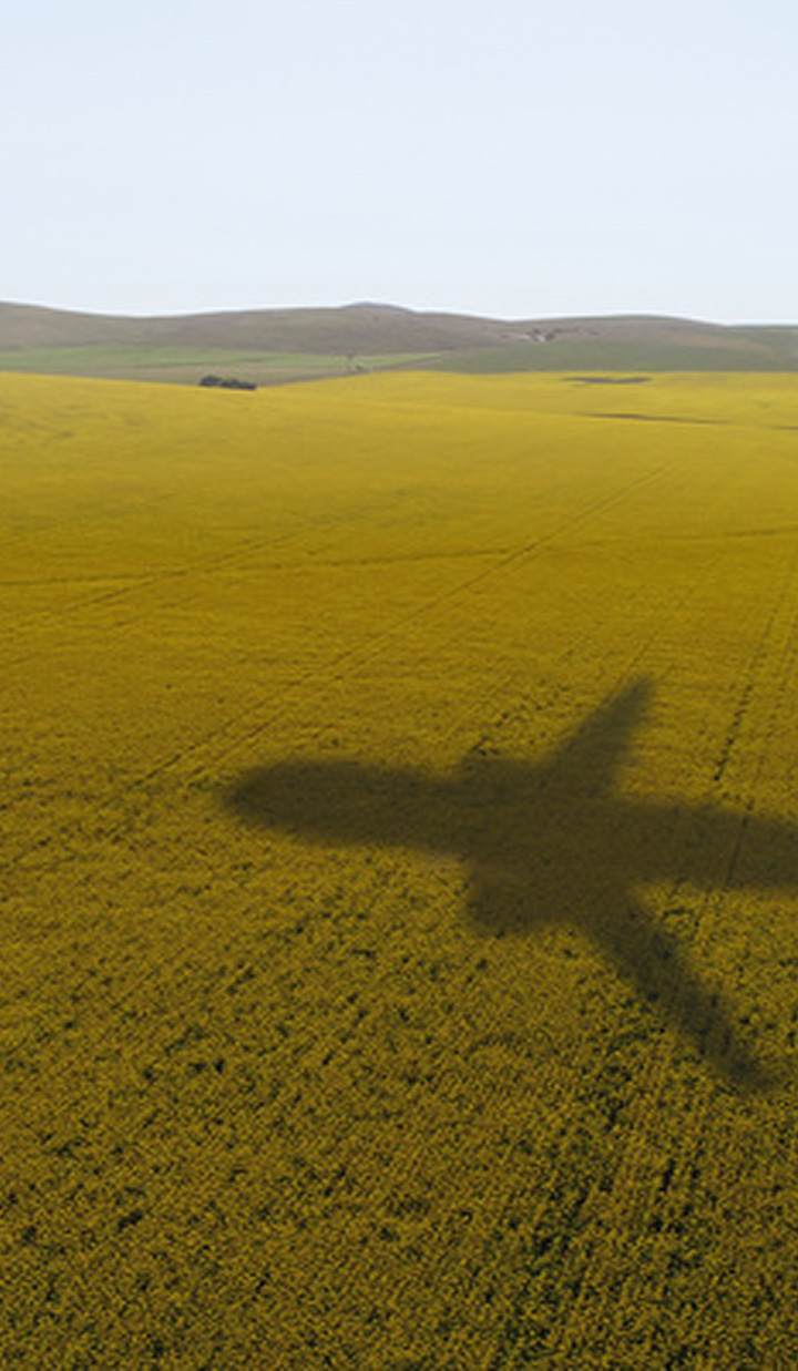 The shadow of an airplane cast over a wide yellow field with distant hills