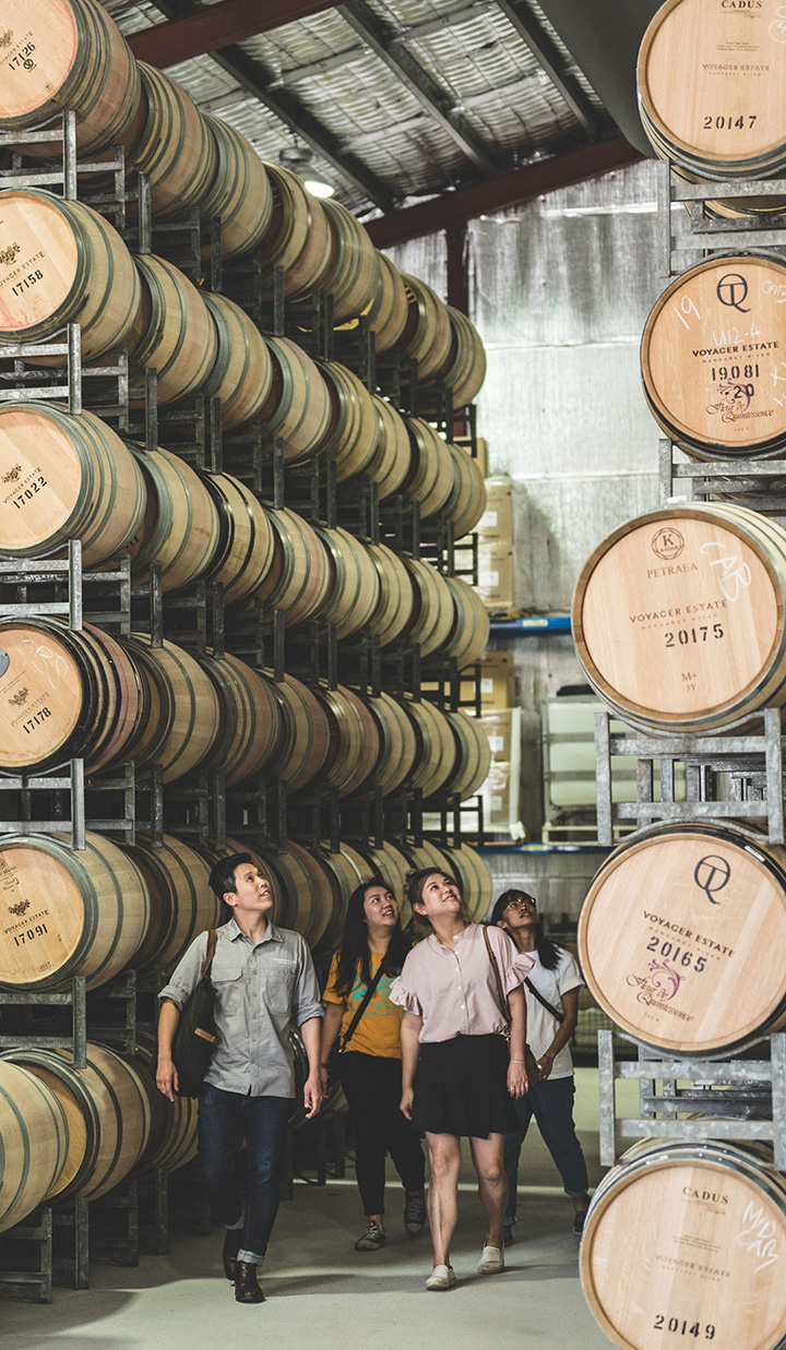 Visitors looking up at a wall of stacked barrels of wine in a warehouse.