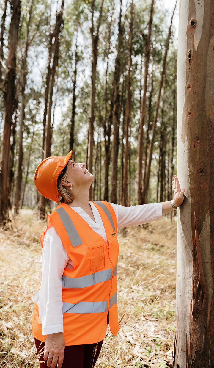 Woman in orange vest inspecting a tree, checking for signs of ageing and harmful pests.
