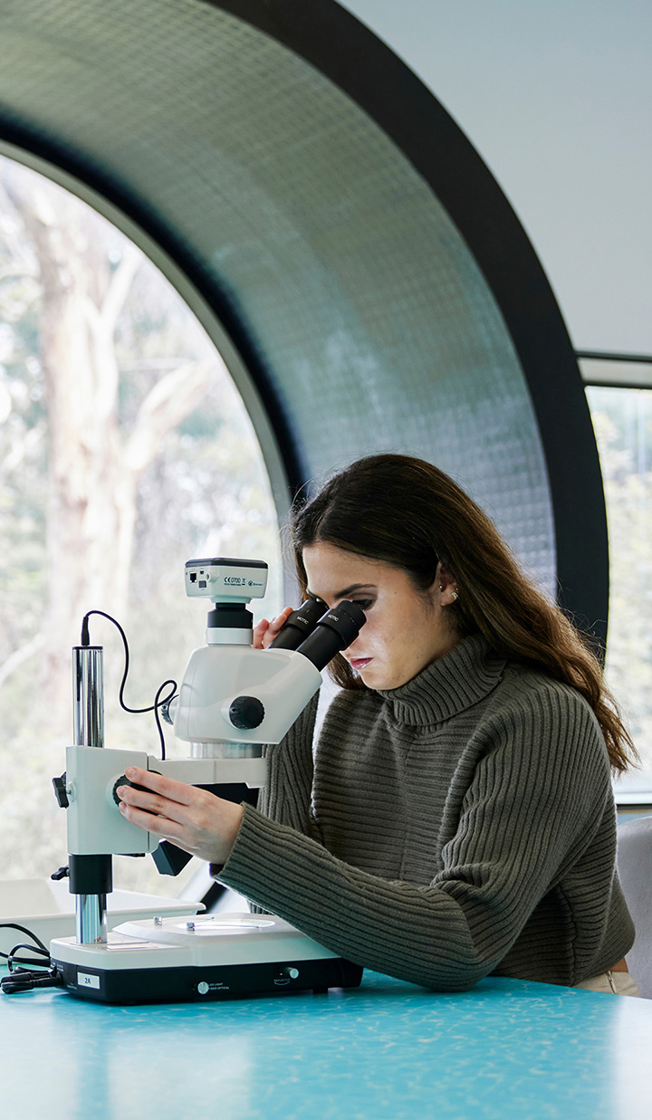 woman in grey sweater using stereo microscope by large window