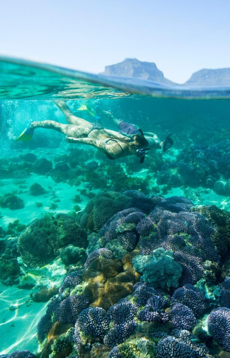 A woman snorkeling close to a reef