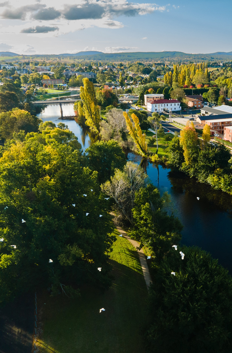 Aerial view of Queanbeyan showing a river lined with trees, a footbridge, and nearby buildings, with distant hills under a partly cloudy sky.
