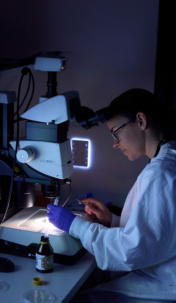 scientist dark lab using microscope