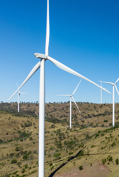 A landscape of grassy hills with multiple large white wind turbines under a clear blue sky