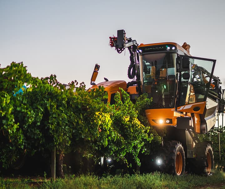 large orange grape harvester in vineyard at sunset with people observing