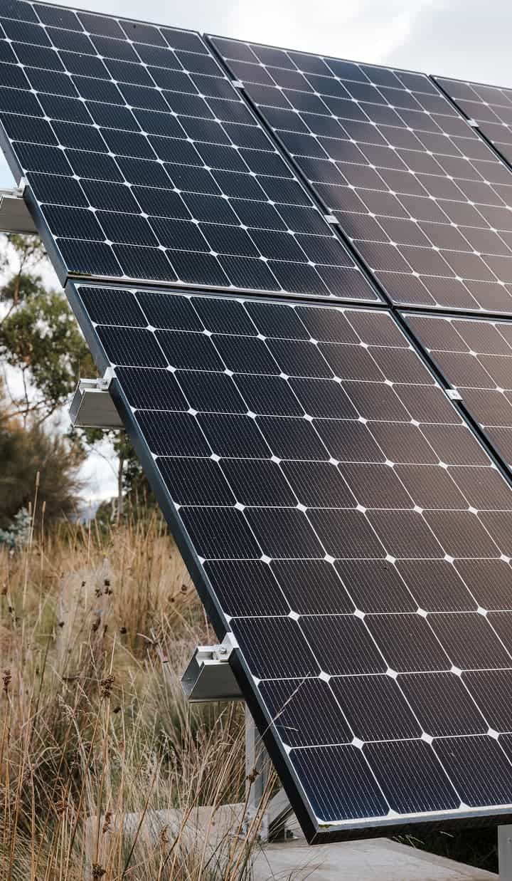 Solar panel in close-up view, set amidst native bush