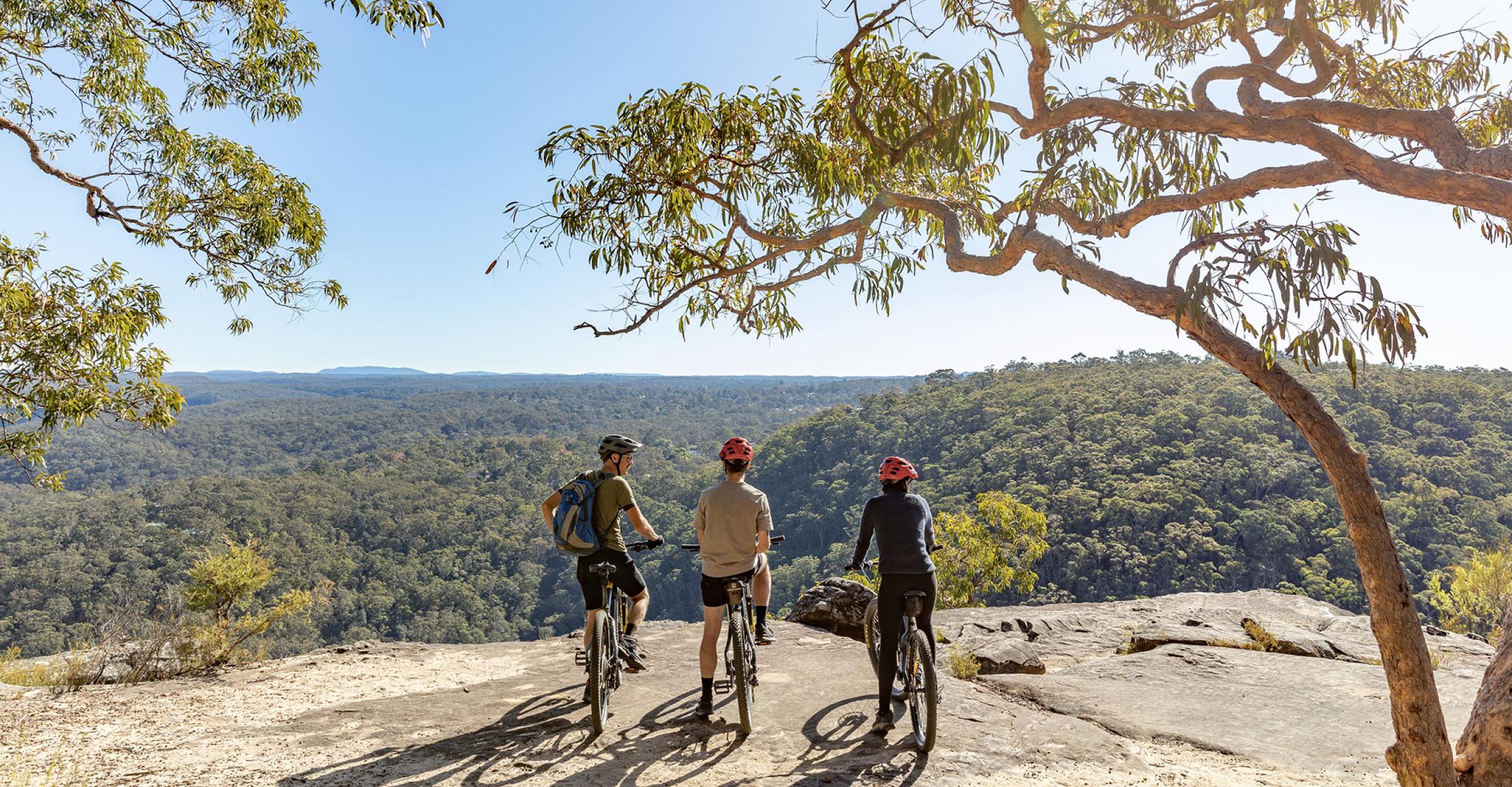 Group of mountain bikers on a rocky cliff overlooking bushland scenery.