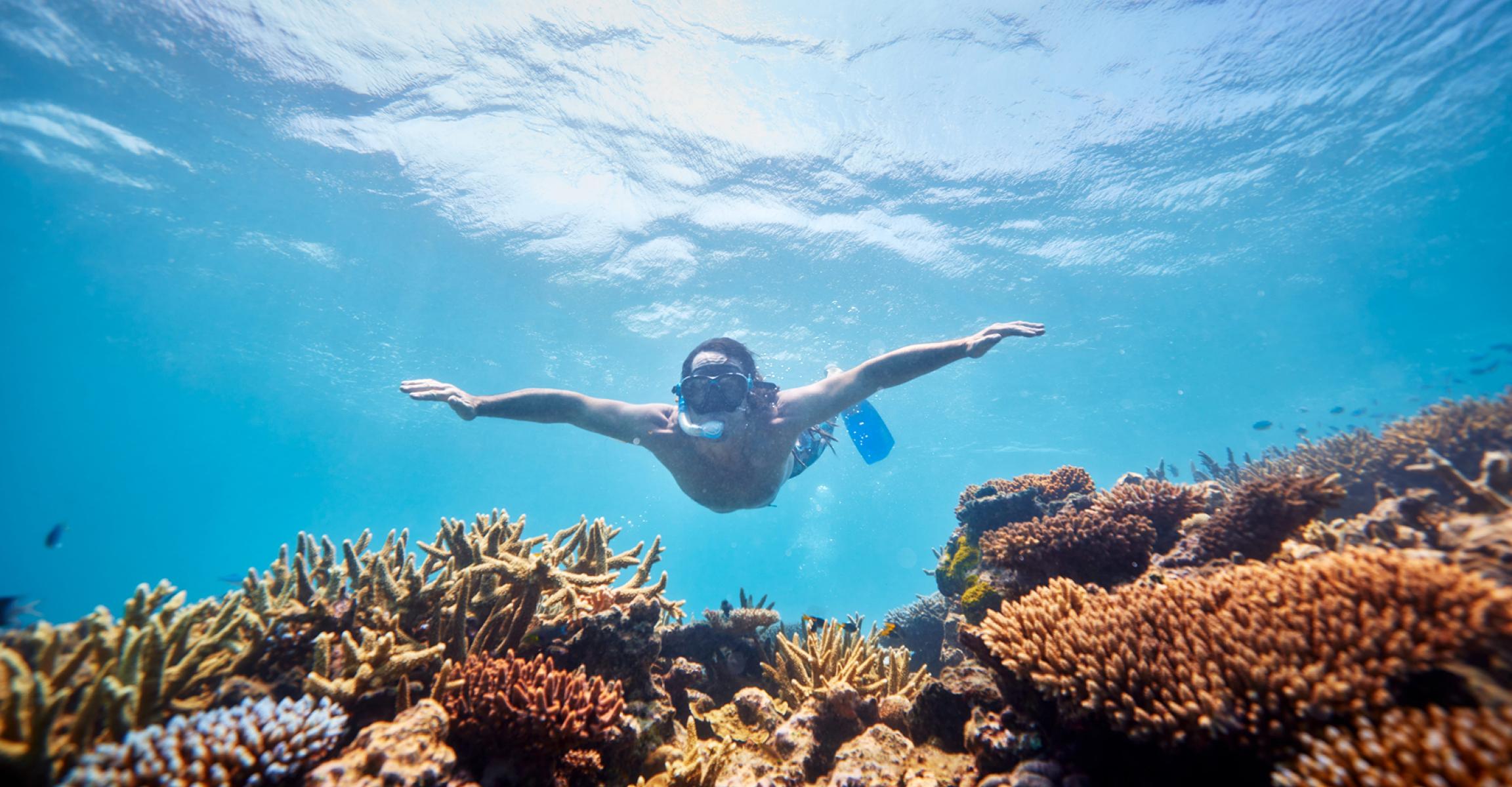 Snorkeler swimming underwater among colorful coral reef.
