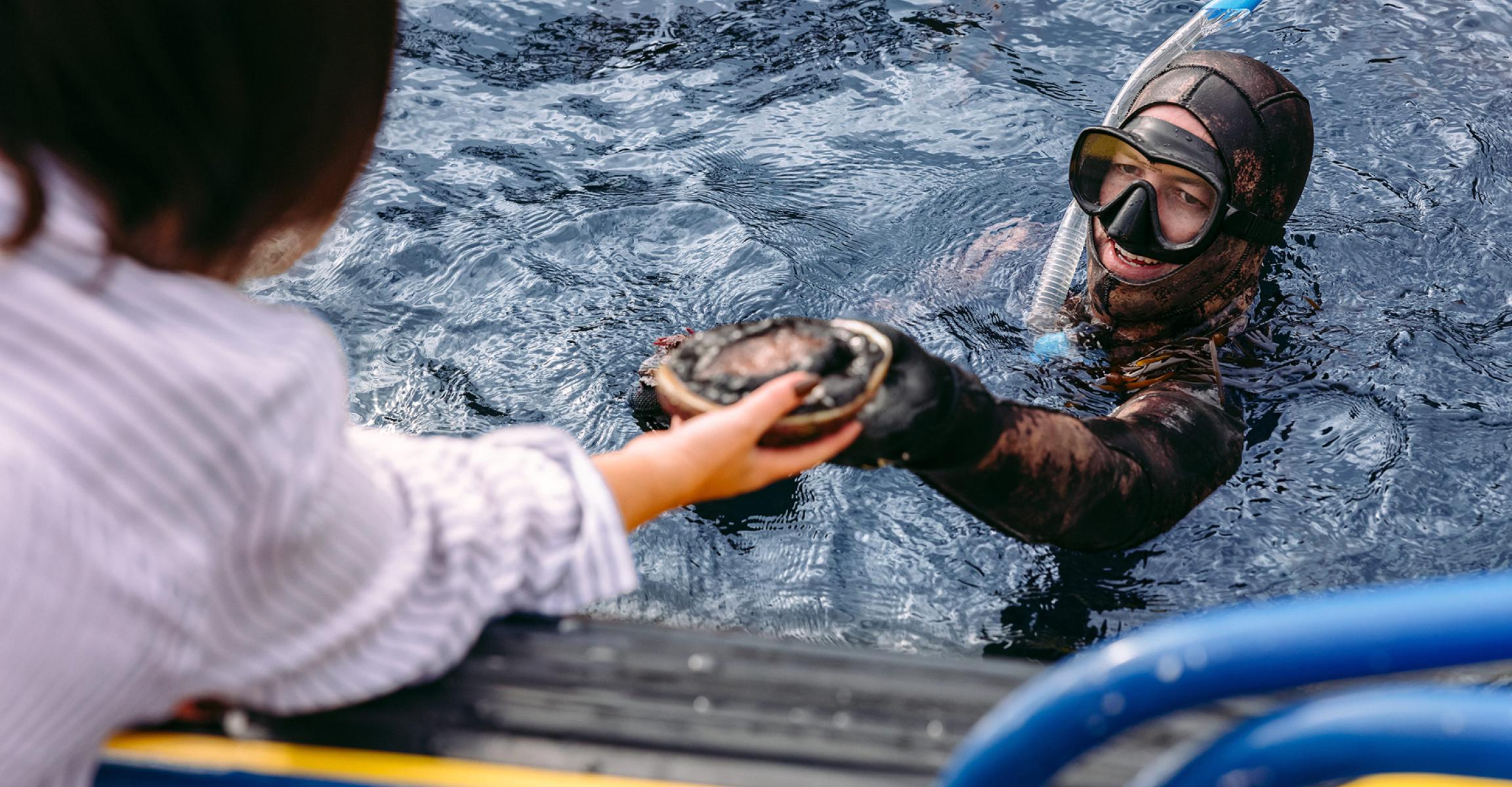 Diver passing oyster to person on boat, Bruny Island, Hobart