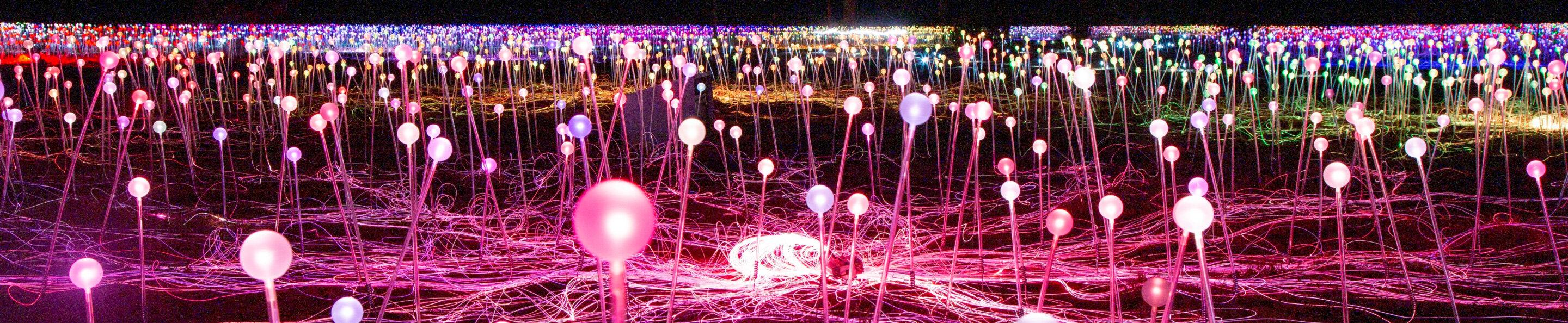 a colourful light up art exhibition