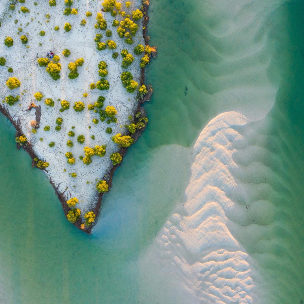 birds eye view of a coastal eustary
