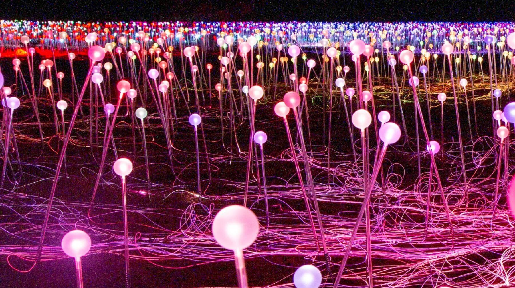 a colourful light up art exhibition